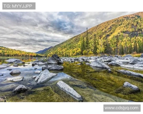 探索布尔萨克的魅力与历史文化之旅，感受独特风情与人文底蕴