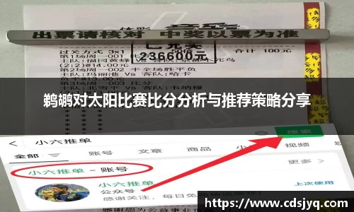 鹈鹕对太阳比赛比分分析与推荐策略分享